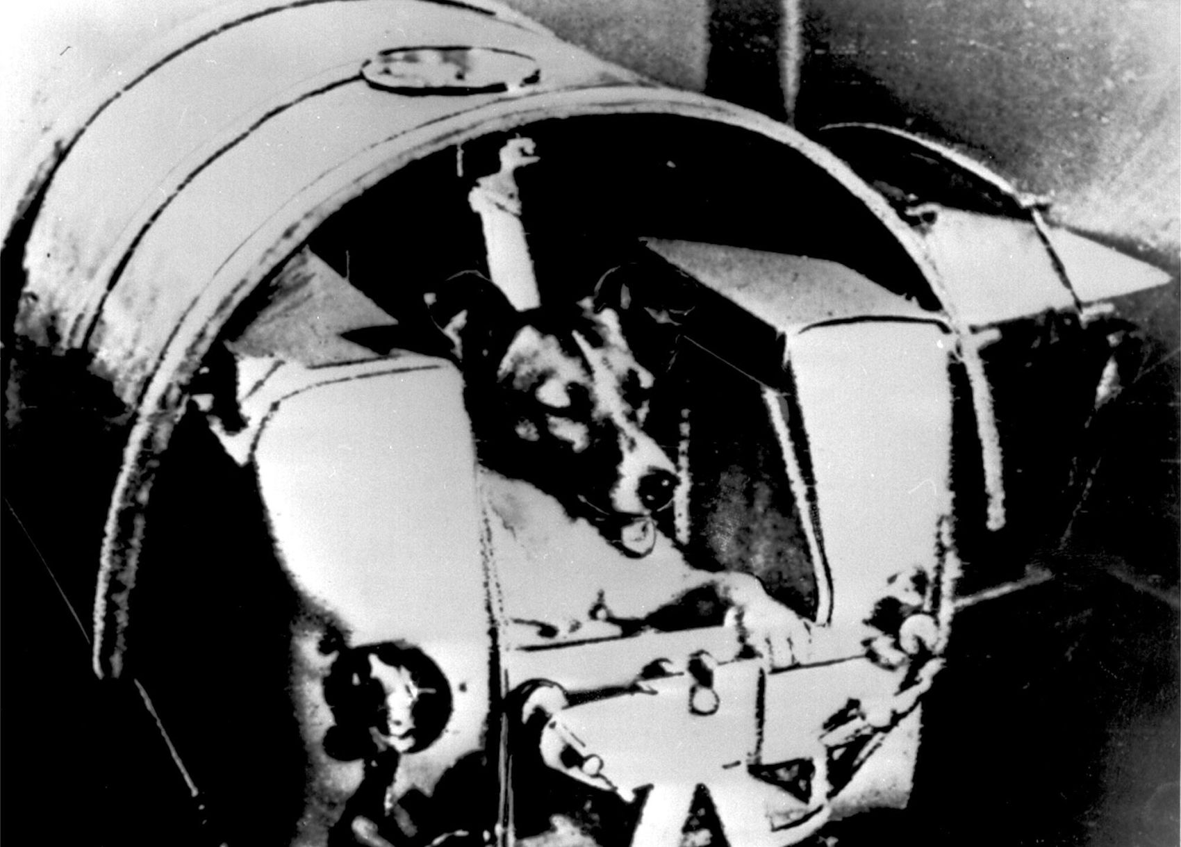 1957: Sputnik 2